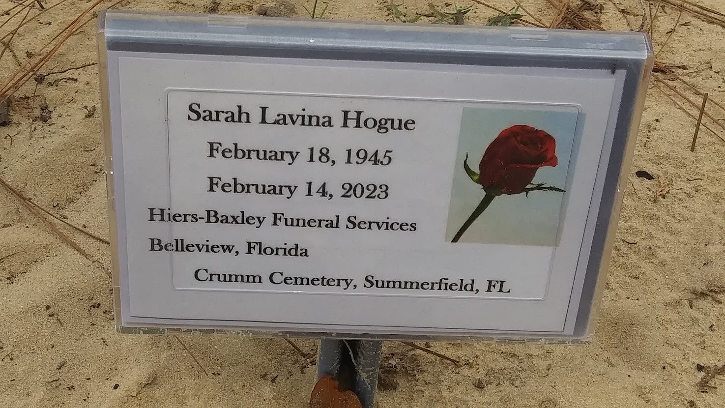 Headstone for Hogue, Sarah Lavina